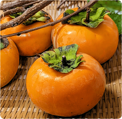 いちばん美味しい瞬間を逃さずに収穫